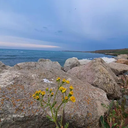 Sun Sea Quiet Casa Sim In * 图兹拉